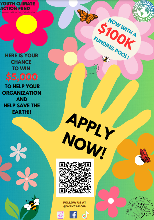 YCAF Flyer - 5000 grants! 