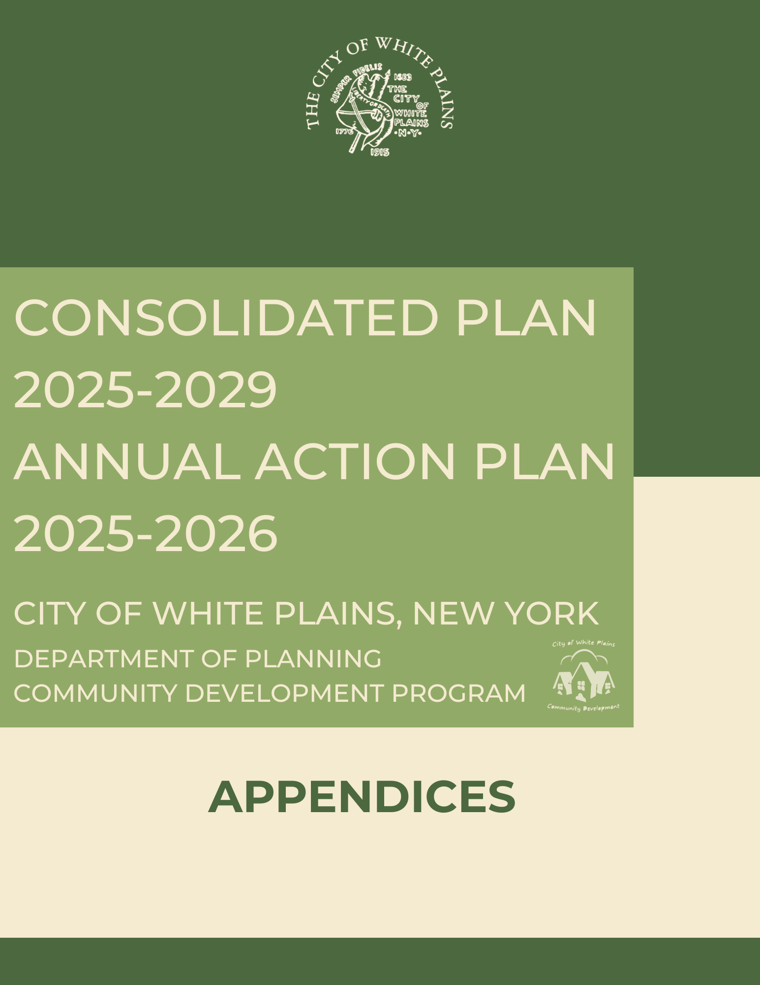 2025-29 Appendix Cover