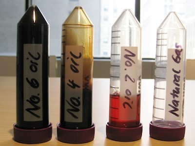 Four test tubes full of oil