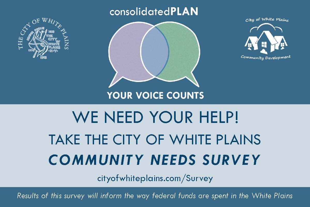 Consolidated Plan 2020 to 2024 Survey Graphic
