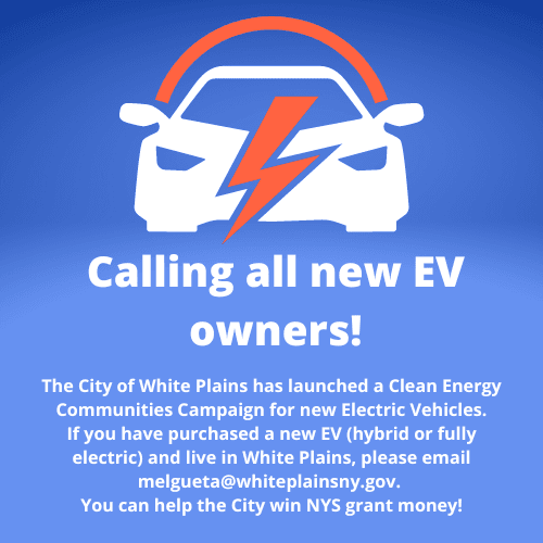 Electric Vehicle Campaign 