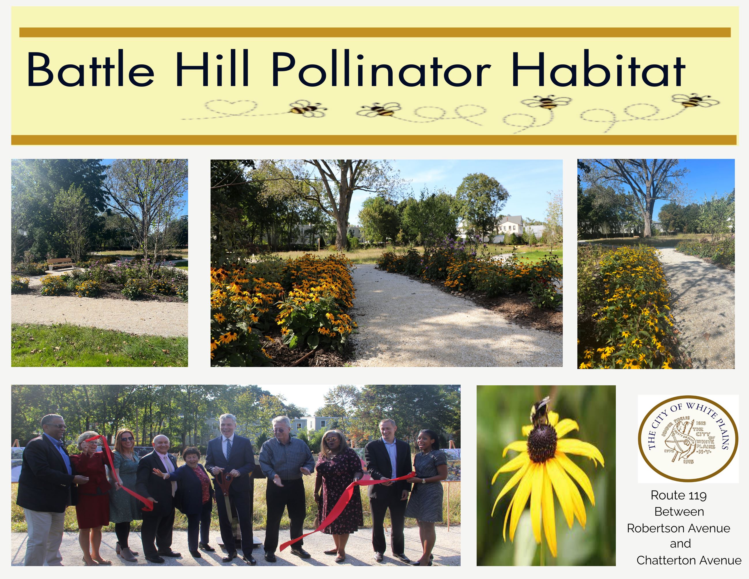 Pollinator SPOTlight first draft (2)