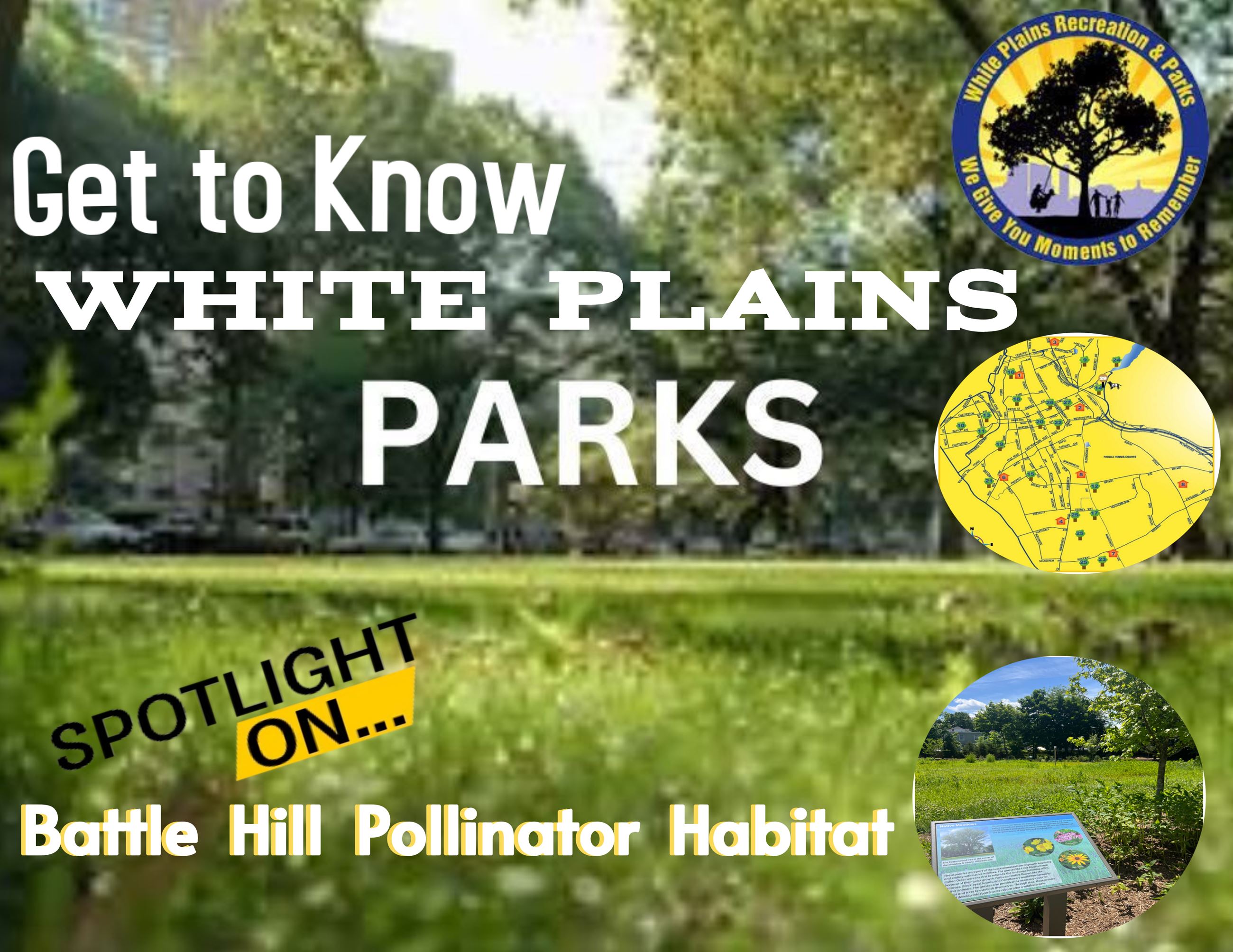 spotlight battle hill pollinator habitat