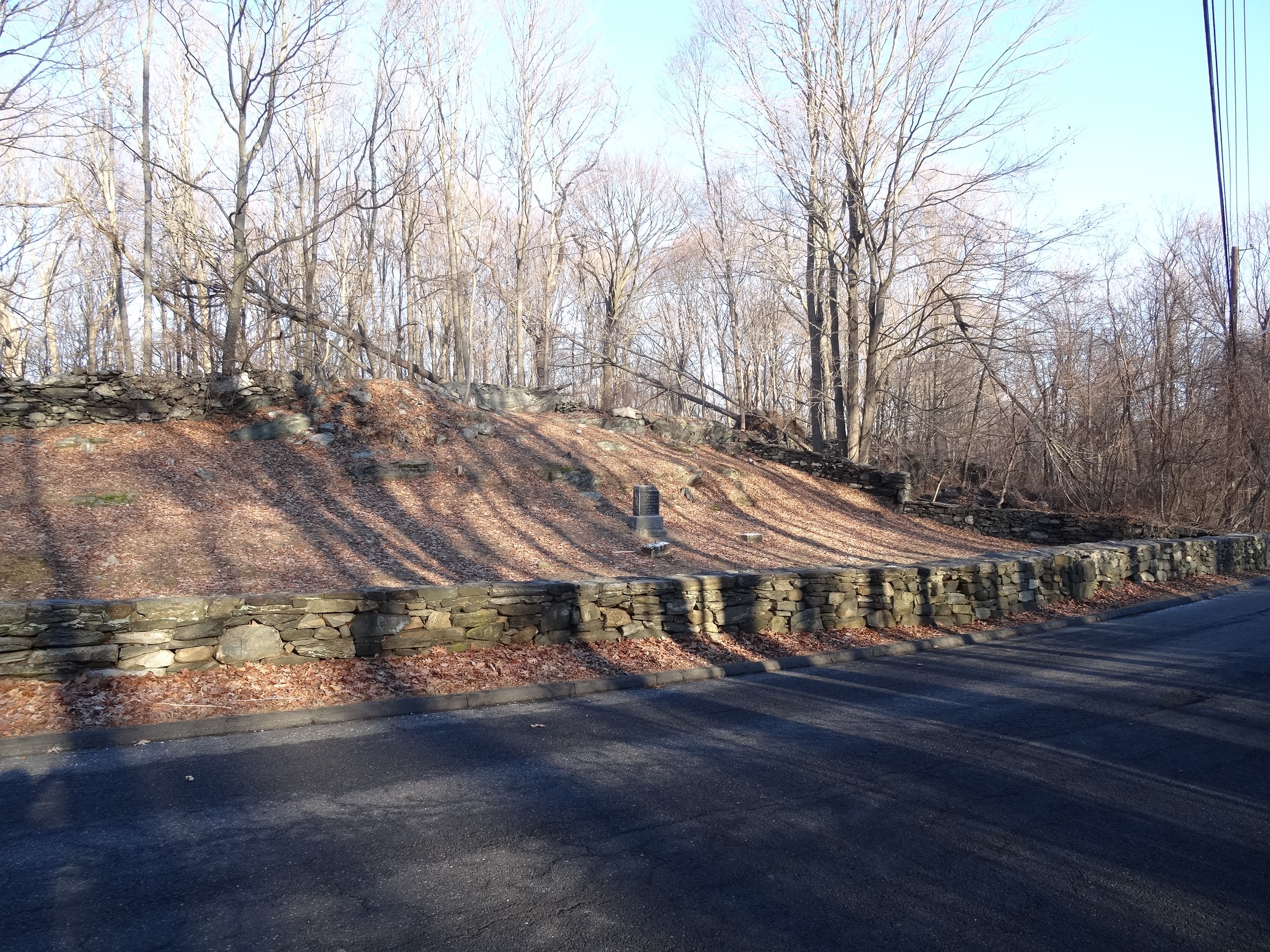 Foster-Buckhout Cemetery