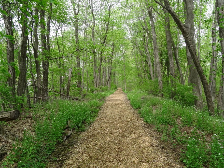 Jack Harrington Greenway